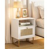 Apetaccat Rattan Nightstand, Boho Night Stand Farmhouse Wood Bedside Table