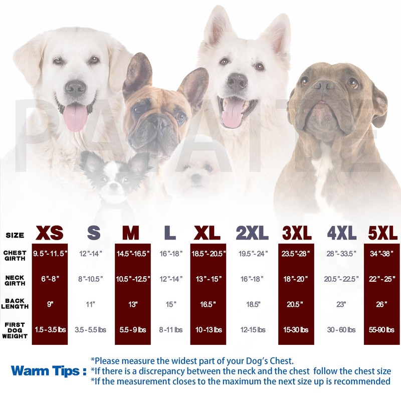 Paiaite Plaid Dog Shirt: Classic CheckeGreen Style in Pure Cotton