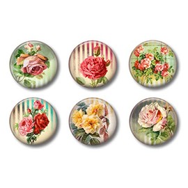 Shabby Chic Farmhouse Magnets - Victorian Roses Flowers - Set of Six 1.75" - Whiteboard Office or Fridge - Gift Set (Victorian Flowers)