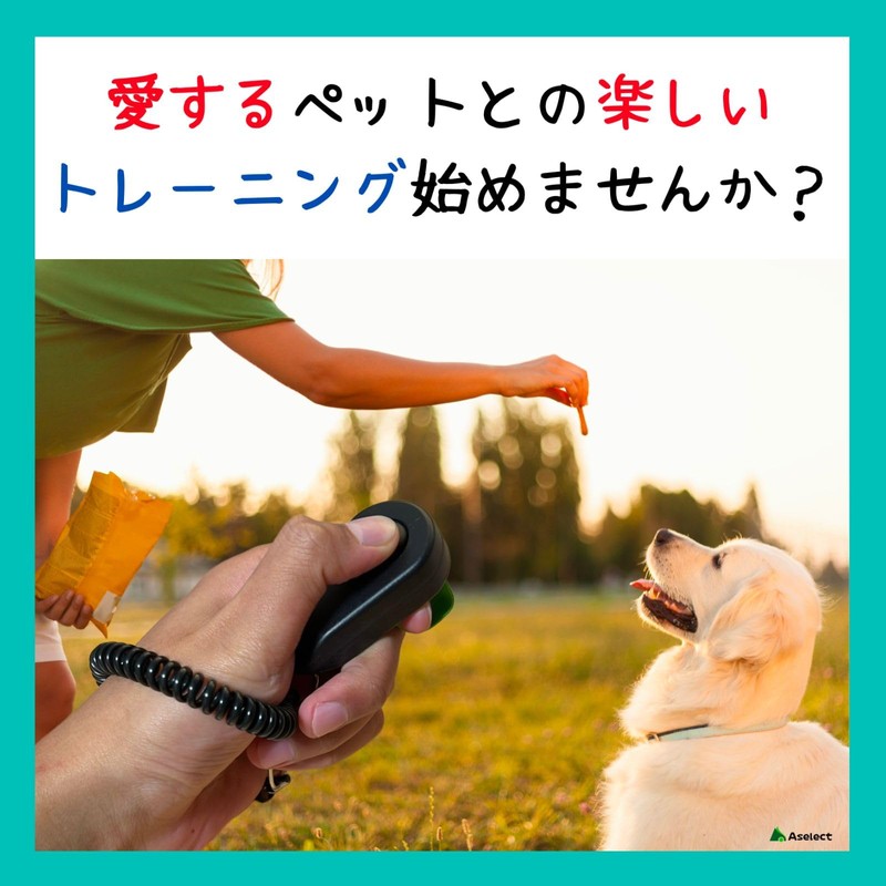 Aselect Clicker Dog Clicker Clicker Dog Clicker Bird Cat Clicker
