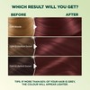 Garnier Nutrisse Ultra Crème, Permanent Hair Dye, 100% Grey Coverage,