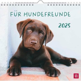 Wandkalender 2025: Für Hundefreunde: Hundekalender mit niedlichen Hundefotos und Zitaten für Hundeliebhaber. Monatskalender zum Aufhängen