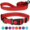 Reflective Dog Collar and Leash Set with Safety Locking Buckle