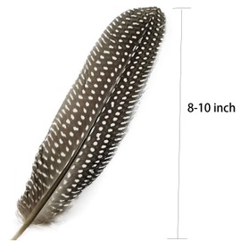 HAPPY FEATHER 6-9 inch Natural Guinea Wing Plumage Feather for DIY Craft, Jewelry and Clothing Decoration Pack of 20-Natural