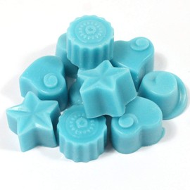 Handmade Premium Quality Highly Scented Wax Melts. 10 x 5g Melts in each pack (Zoflo Mountain Air)