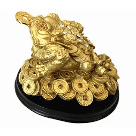 Feng Shui Money Frog (Three Legged Toad) Hold Two Ignots on a Pile of Money for Wealth Luck