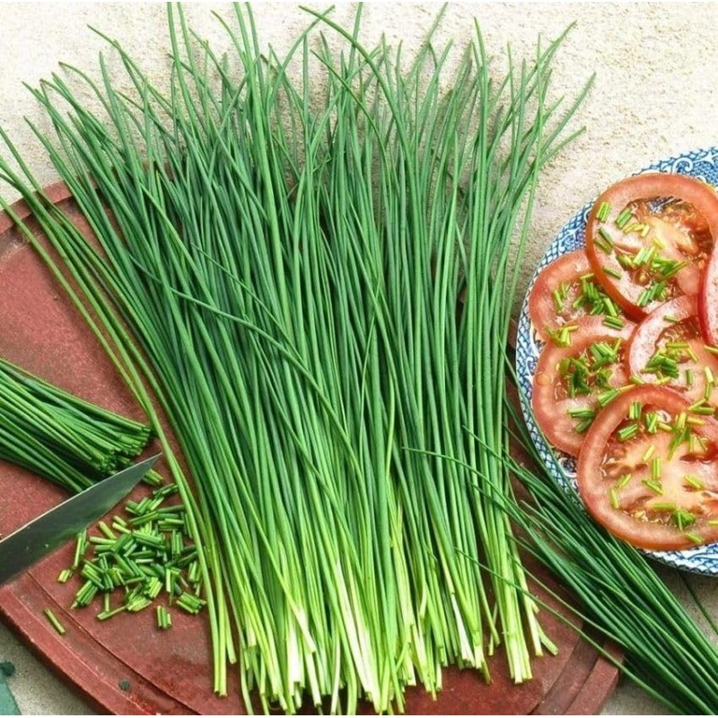22Day Seeds: Seeds Chives Onion/Non GMO/Heirloom