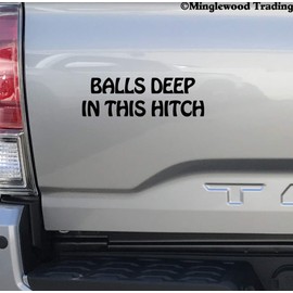 Balls Deep in The Hitch Vinyl Sticker | Towing Camping Travel Trailer 5th Wheel RV Camper | Die Cut Decal | 9w x 3h inches | Turquoise
