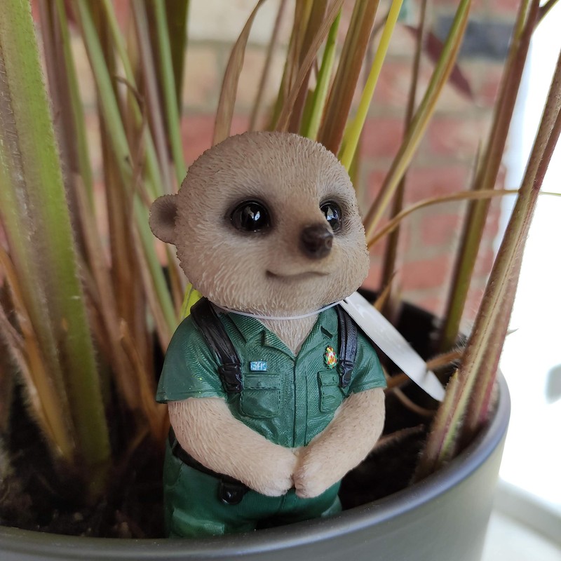 Vivid Arts - Paramedic Meerkat - PLP-153