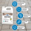 Rainguard Water Sealers Stone Sealer, Penetrating Protection Against Moisture Damage