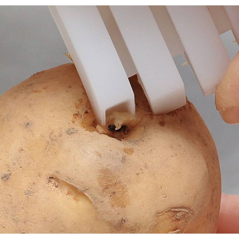 Brosse Brush Craftsman Series Vegetable Washing Brush