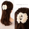JewelVOX Hair Accessories, Draped Chiffon Ruffle, Mini Hair Claw, Feminine