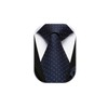 HISDERN Men's Tie with Pocket Square Dot Ties Wedding Classic