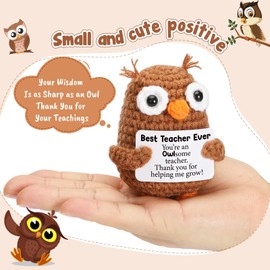 Thank You Teacher Appreciation Gifts for Teacher Coworker Mentor, Positive Crochet Owl Birthday Graduation Retirement Leaving Going Away Gift for Teachers Week Gifts, Funny Positive Crochet Owl