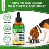 Milk Thistle for Dogs | Dog Liver Supplement for All