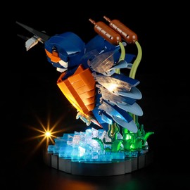 YEABRICKS LED Light for-10331 Icons Kingfisher Bird Building Blocks Model (Building Set NOT Included)