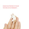 Cute 6 Pack Fun Cat Refrigerator Magnets Office Magnet Cute