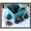 Seeds Bee Blooming Black Mission Fig Seeds! Self Fertile -