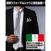 Enrico Gigli Formal Silk Necktie Pocket Square Set -