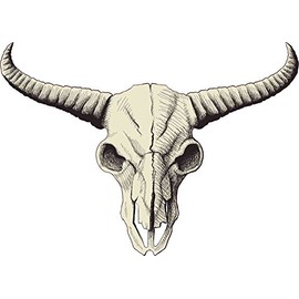StickerTalk Buffalo Skull Vinyl Sticker, 12 inches by 9 inches