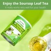 40 Soursop Leaves Tea Bags, Dried Soursop Graviola Leaves Tea,
