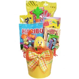 Delight Expressions Easter Chick Gift Pail - A Premade Holiday Easter Gift Basket for Kids - Boy or Girl