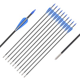 Fiberglass Arrows Archery 28 Inch Target Shooting Practice Safetyglass with Blue and White Vane for Recurve Bows Suitable for Youth Children Woman Beginner 6 PCS