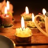 24 Velas de Cactus,Velas de Suculentas,Juego velas suculentas con caja