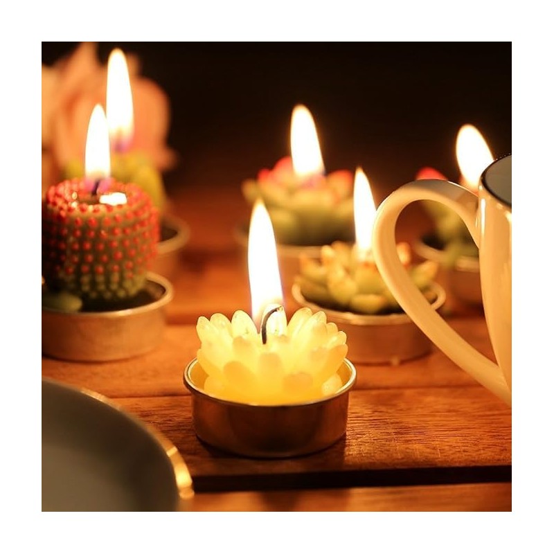24 Velas de Cactus,Velas de Suculentas,Juego velas suculentas con caja