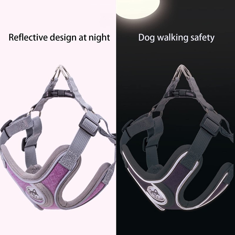 SKXEO Small Dog No Pull Harness & Lead Set -