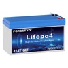 Forgetyo 12V 6Ah LiFePO4 Lithium Battery, 3000+ Cycles Lithium Battery,Safe
