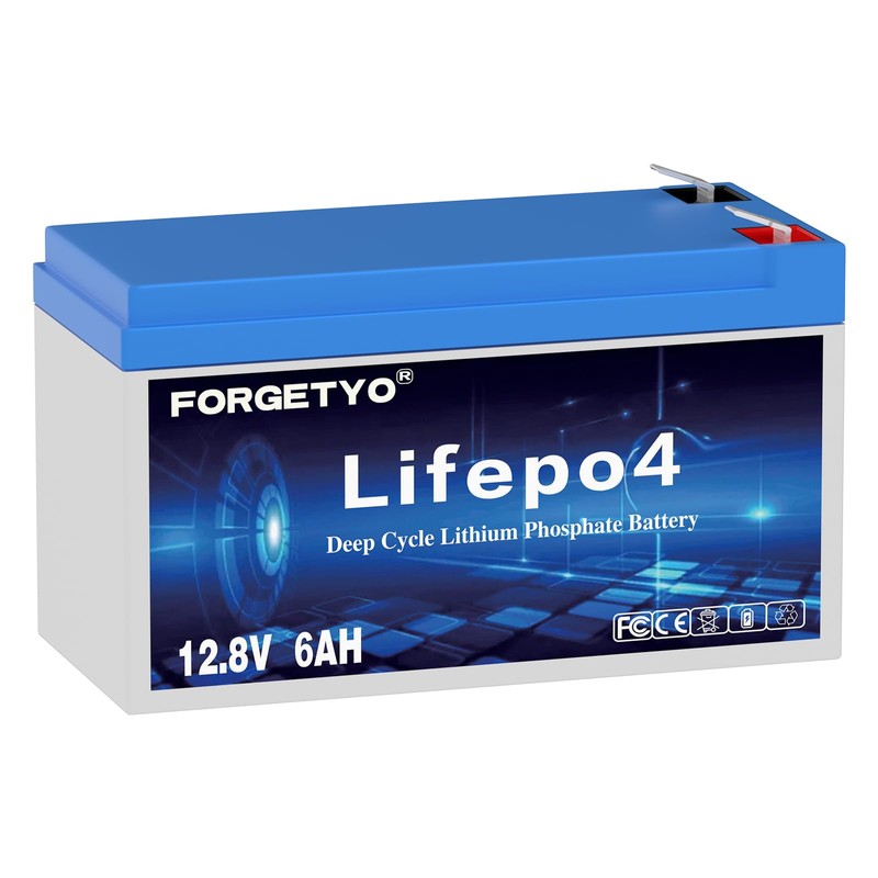 Forgetyo 12V 6Ah LiFePO4 Lithium Battery, 3000+ Cycles Lithium Battery,Safe