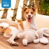 Best Pet Supplies Interactive Bunny Buddy Dog Toy with Crinkle