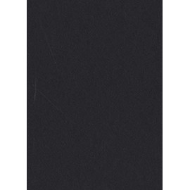 Poster Palooza Smooth Black 16x20 Backing Board - Uncut Photo Mat Board