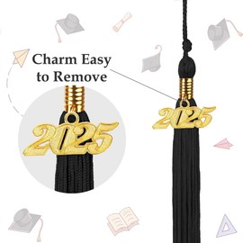 Black 2025 Tassel 2 Pcs Graduation Tassel for Graduation Cap 2025 Tassel Charms for Graduation Cap 2025 Graduation Tassel Charm 2025 Tassel Graduation Charm Graduation Tassels for Graduation Cap 2025