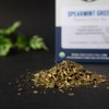Organic Positively Tea Company, Spearmint Green Tea Bags, 20 Count