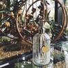 JASAI 18 Oz Clear Glass Soap Dispenser with Rust Proof