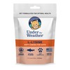 Under the Weather Pet Daily Cat L-Lysine | Boost Immune