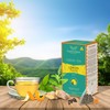 TeaNOURISH Lemon Tulsi Green Tea | 20 Count Pyramid Tea