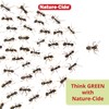 Nature-Cide All Purpose Spray - for Roach, Spider, Mosquito and