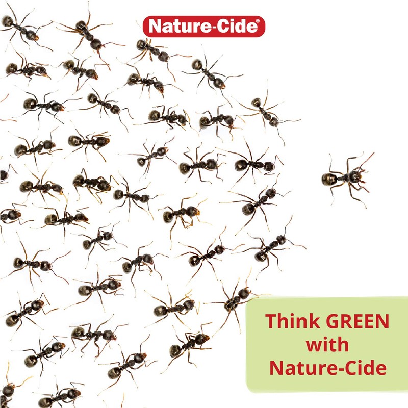 Nature-Cide All Purpose Spray - for Roach, Spider, Mosquito and