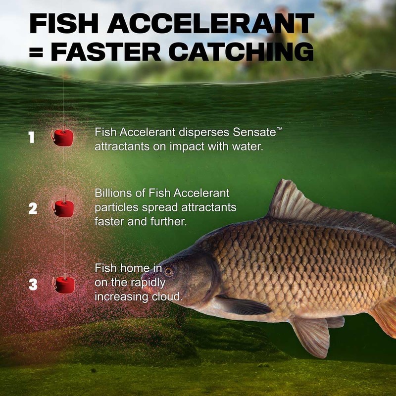 Fjuka Sensate Powder Sweet Original | Instant bait boost |