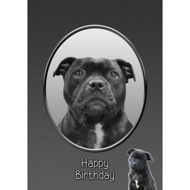 Staffie/Staffordshire Bull Terrier Birthday Card
