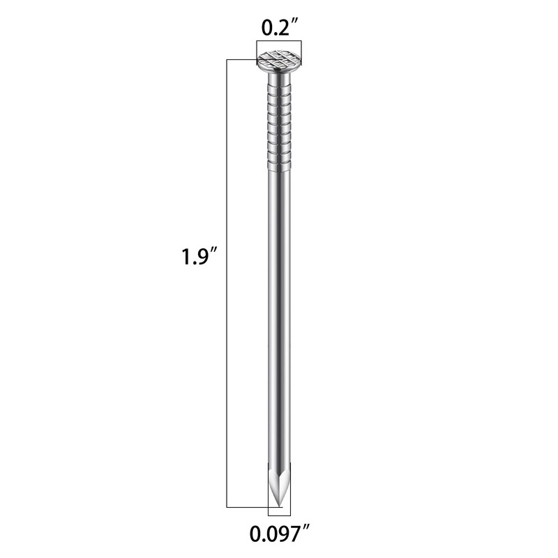 Wensilon (100 pcs)2 inch Stainless Steel 304 Nails, Hanging Nails,