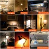 LiteHistory E17 led Bulb ETL 25w Appliance t7 led Bulb