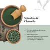 Spirulina and Chlorella 1600 mg - 600 Vegan Pellets for
