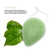 Organic Konjac Face Sponge Green Tea | Set of 4