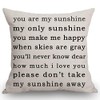 Swono You are My Sunshine Farmhouse Pillow, Song Lyrics Presents,