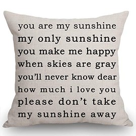 Swono You are My Sunshine Farmhouse Pillow, Song Lyrics Presents, Happiness Quote Living Room Throw Pillow, Pillow Covers