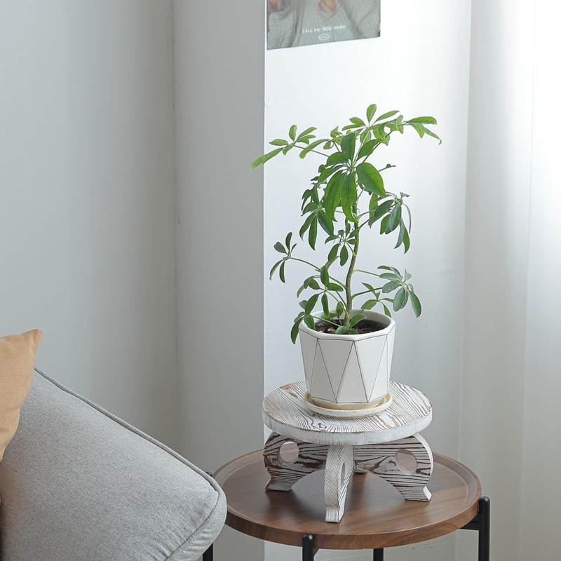 VZODESR White Wooden Plant Stands Indoor Riser Round Display Stands